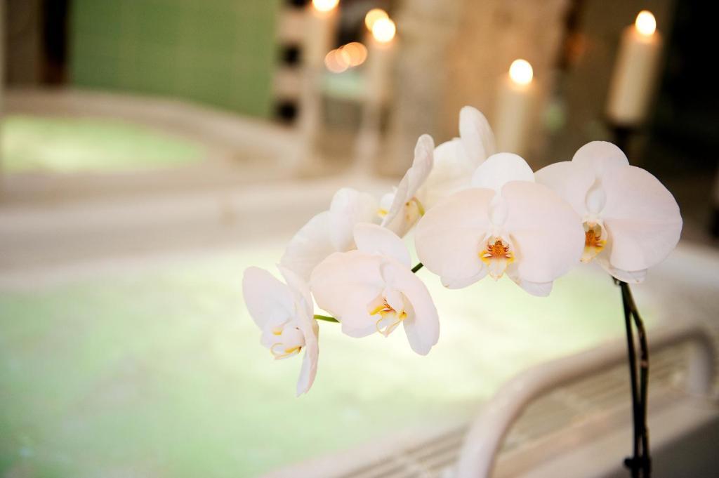 Ringhotel VITALHOTEL ambiente Bad Wilsnack Buitenkant foto
